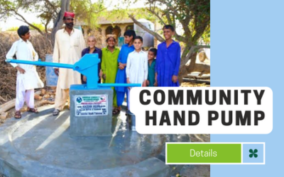 Community Hand Pump